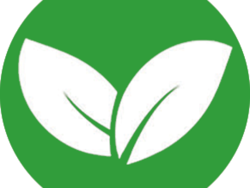 Icono servicios 1 (1)